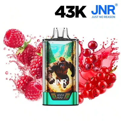 Puff JNR Gorilla X Wild Berries Ice - 20 mg