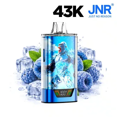 Puff JNR Gorilla X Blue Razz Ice - 20 mg