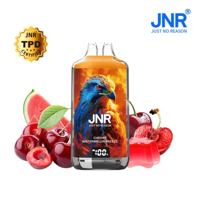 Puff JNR Falcon 28000 Cherry Watermelon Freeze - 20 mg