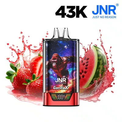 Puff JNR Gorilla X Strawberry Watermelon Ice - 20 mg
