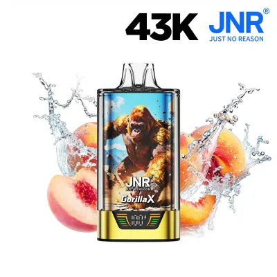 Puff JNR Gorilla X Summer Peach Ice - 20 mg