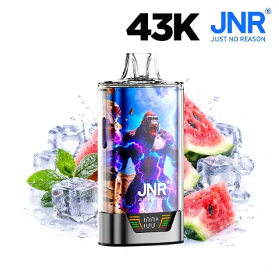 Puff JNR Gorilla X Watermelon Ice - 20 mg